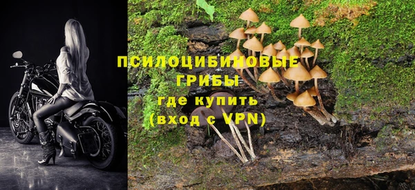 бутират Елизово